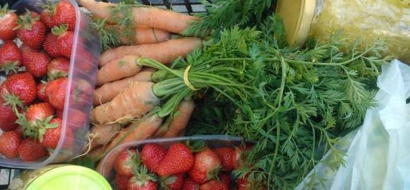 Dorota Hajdukiewicz: “We’re amateurs, but we’re going to grow food!”