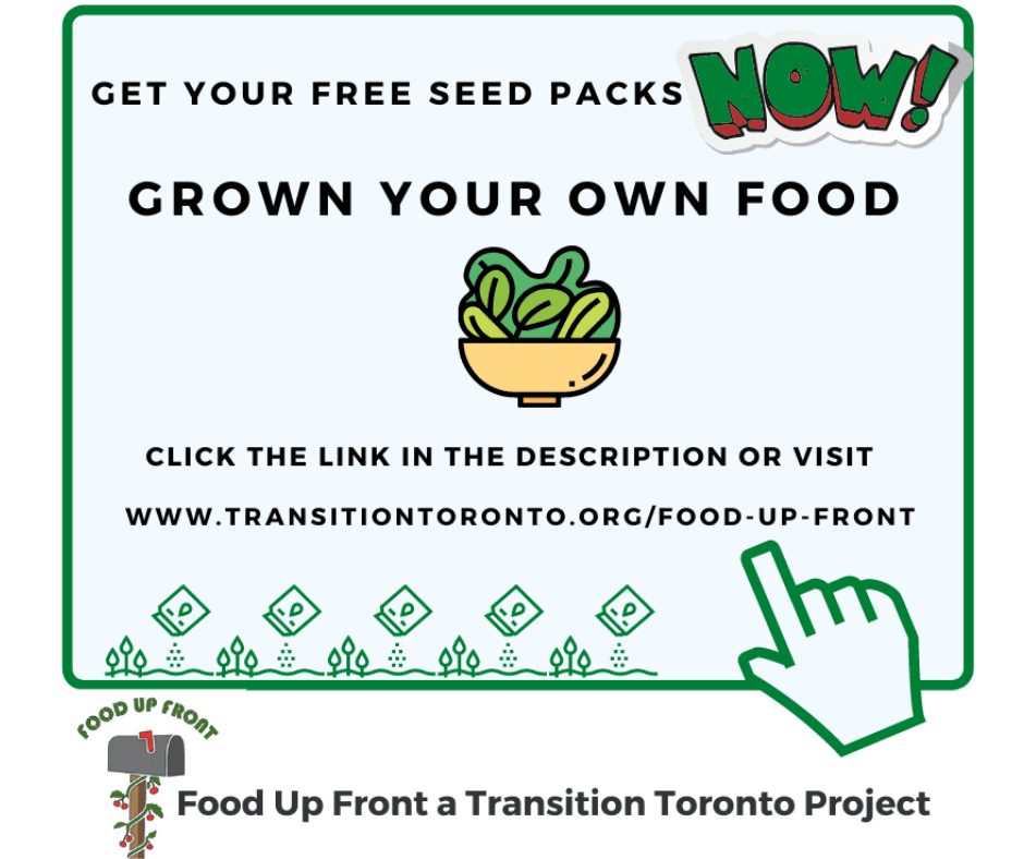 Advert for 'Food Up Front' a Transition Toronto Project. There is an image of a bowl with green food in it and the words "Get Your Free Seed Packs Now! Grow Your Own Food. www.transitiontoronto.org/food-ip-front
