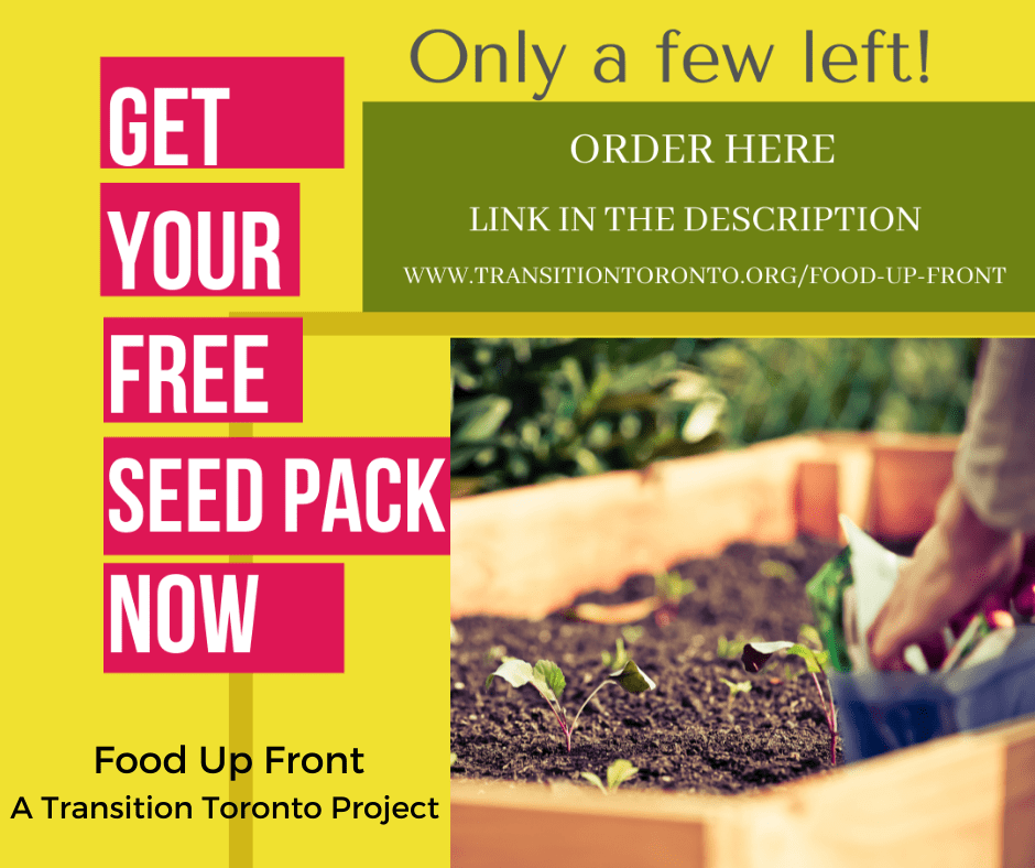 Advert for 'Food Up Front' a Transition Toronto Project. There is a photo of seedlings with the words "Get Your Free Seed Pack Now - only a few left"