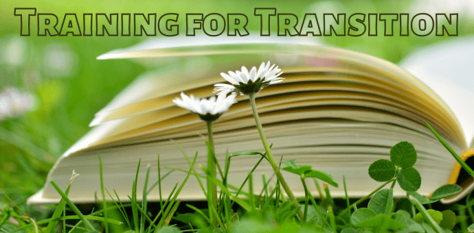 Picture of an open book on a bed of grass with two daisys in the foreground. At the top are the words 'Training for Transition'