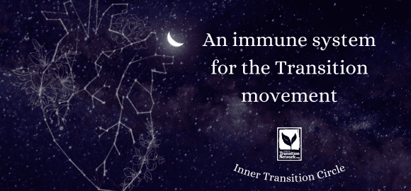Developing an immune system for the Transition movement